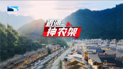 直通神农架 | 越夜越精彩 “凉”经济乘“热”而上