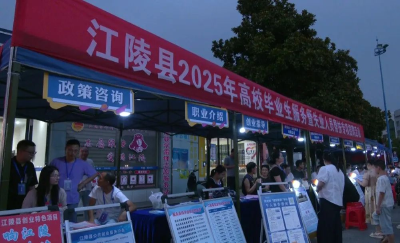 湖北江陵：逛夜市找工作 消暑选岗“两不误”