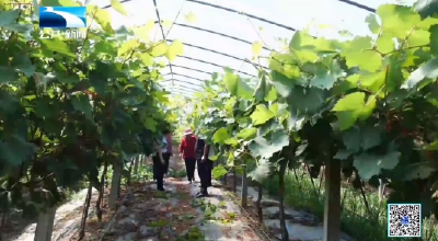 襄阳南漳：科普课堂“接地气” 种植户增产有良方