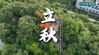 襄阳南漳：今日立秋｜云天收夏色 木叶动秋声