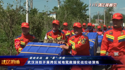 119请让我看见 | 砺剑实战 临“震”不慌  武汉消防开展跨区域地震救援实战拉动演练