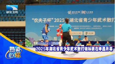 2025年湖北省青少年武术散打锦标赛在孝昌开幕