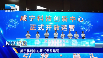 咸宁科创中心正式开放运营