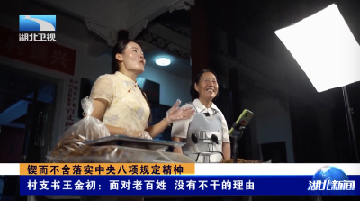 锲而不舍落实中央八项规定精神｜村支书王金初：面对老百姓  没有不干的理由