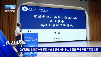 2025年湖北省院士专家科技成果转化推进会人工智能产业专场在武汉举行