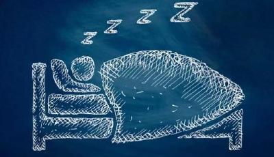 睡得越多越健康……是真是假？｜谣言终结站