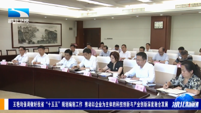 王艳玲强调做好我省“十五五”规划编制工作 推动以企业为主体的科技创新与产业创新深度融合发展