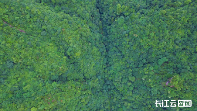 恩施绘就“两山”转化新画卷