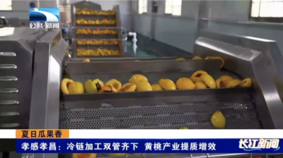 孝感孝昌：冷链加工双管齐下 黄桃产业提质增效