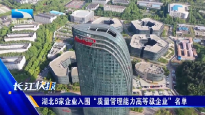 湖北6家企业入围“质量管理能力高等级企业”名单