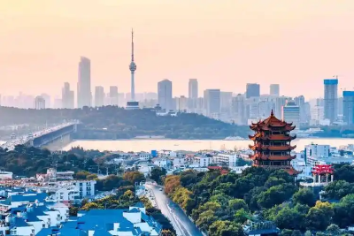 支点大家谈丨王冰：不拘一格降人才 为有担当的干部撑腰鼓劲