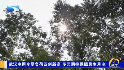 武汉电网今夏负荷四创新高 多元调控保障民生用电
