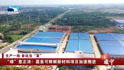 “绿”意正浓！嘉鱼可降解新材料项目加速推进