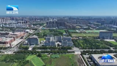 2025年8月15日湖北新闻