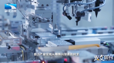 建成支点 湖北需要怎样的干部？