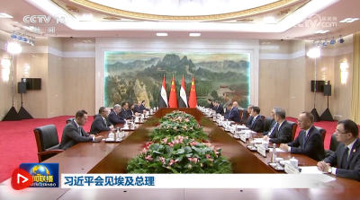 习近平会见埃及总理马德布利