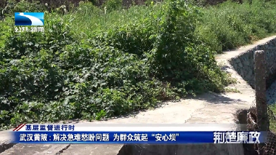 基层监督进行时 | 武汉黄陂：解决急难愁盼问题 为群众筑起“安心坝”