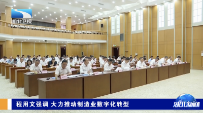 程用文强调 大力推动制造业数字化转型