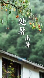 处暑未出暑，燥邪当令多吃润肺三宝！