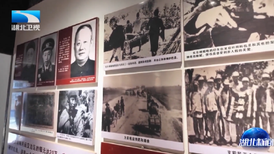 铭记历史 缅怀先烈丨洪湖：红色水乡的抗战“供给线”