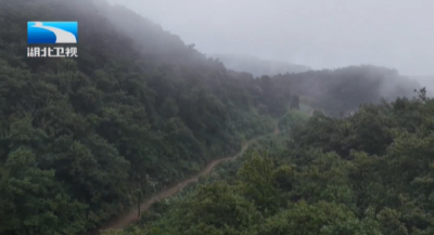 立秋后迎来首场强降雨 湖北昼夜抢险保民生