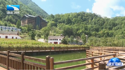 尔肯江·吐拉洪在神农架林区调研