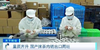 国产抹茶出口内销两旺 2025年产量将超5000吨