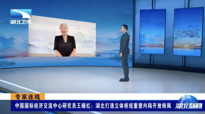 专家连线｜中国国际经济交流中心研究员王晓红：湖北打造立体枢纽重塑内陆开放格局