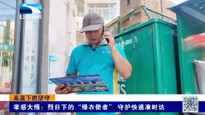 孝感大悟：烈日下的“绿衣使者” 守护快递准时达