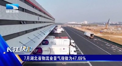 7月湖北省物流业景气指数为47.69%