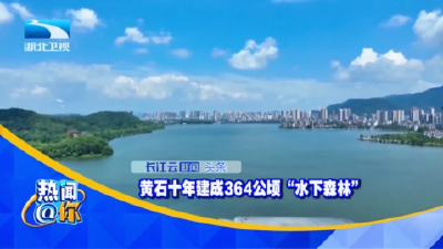 黄石十年建成364公顷“水下森林”
