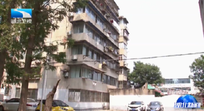 张文彤赴襄阳调研推动城市更新工作