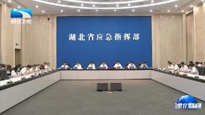 程用文强调 扎实做好强降雨防范应对工作