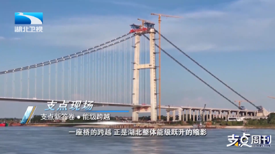 2025年8月3日支点周刊