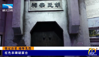 铭记历史 缅怀先烈 | 红色丰碑胡家台