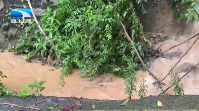 湖北多地遭遇强降雨 各地全力抢险保畅通
