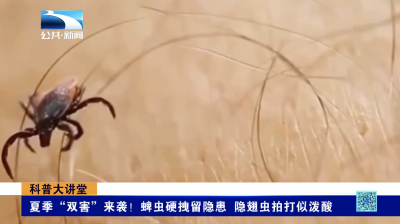 夏季“双害”来袭！蜱虫硬拽留隐患 隐翅虫拍打似泼酸