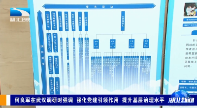 何良军在武汉调研时强调  强化党建引领作用 提升基层治理水平