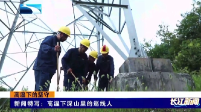 新闻特写：高温下深山里的巡线人