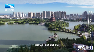 2025年8月24日支点周刊