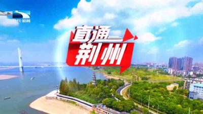 直通荆州 | 上半年经济“三箭齐发” 多项经济指标稳进提质