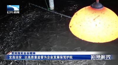 贯彻落实全会精神｜宜昌远安：以高质量监督为企业发展保驾护航