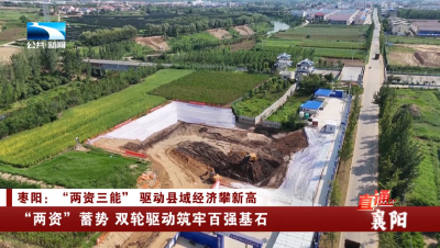 枣阳：“两资”蓄势 双轮驱动筑牢百强基石