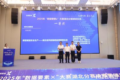 2025年“数据要素×”大赛湖北分赛城市治理赛道决赛在黄石圆满收官