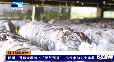 科技助农增效|随州：香菇大棚装上“天气预报” 小气象助力大丰收