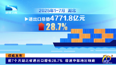 权威发布丨前7个月湖北省进出口增长28.7% 增速中部地区领跑