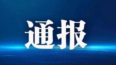 成绩单造假学位论文抄袭 董某莹肖某事件5家机构19人被问责
