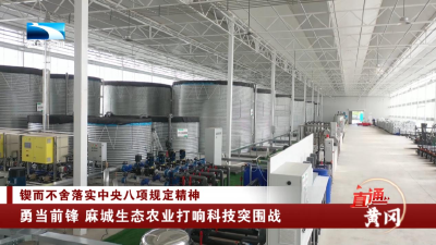 锲而不舍落实中央八项规定精神 | 勇当前锋 麻城生态农业打响科技突围战
