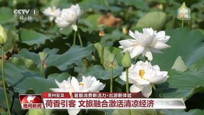 够清凉够丰富！更好玩、更好逛的“暑期游”来了