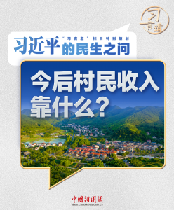 习近平的民生之问丨“今后村民收入靠什么？”